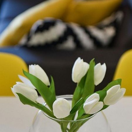 Mediterraneo Garden Apartments Petrcane Kamer foto