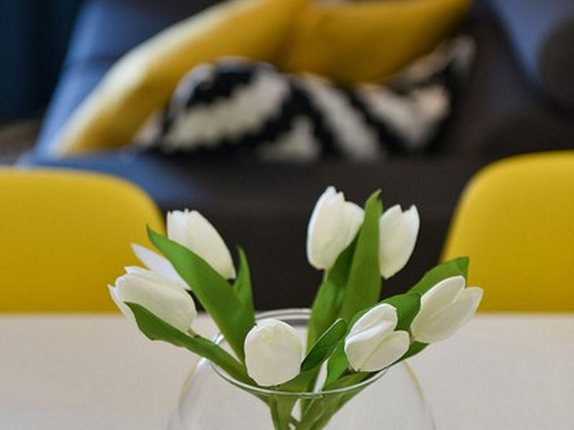 Mediterraneo Garden Apartments Petrcane Kamer foto